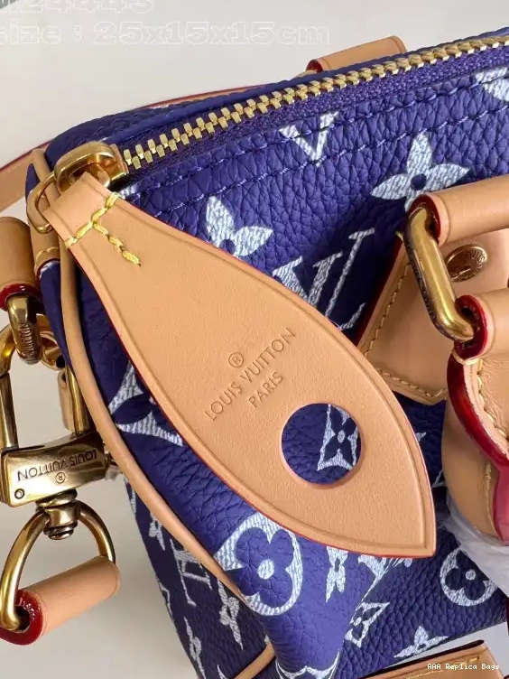 Aaa replica bags Vuitton 25 SPEEDY Louis 0603